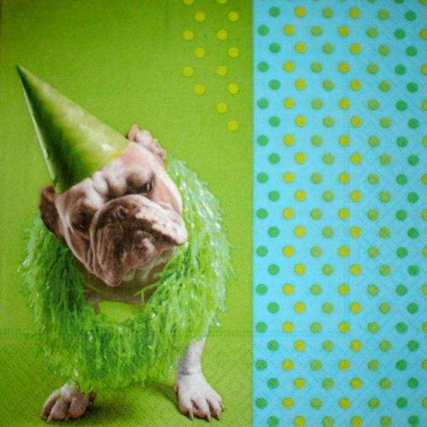 020 Hunde